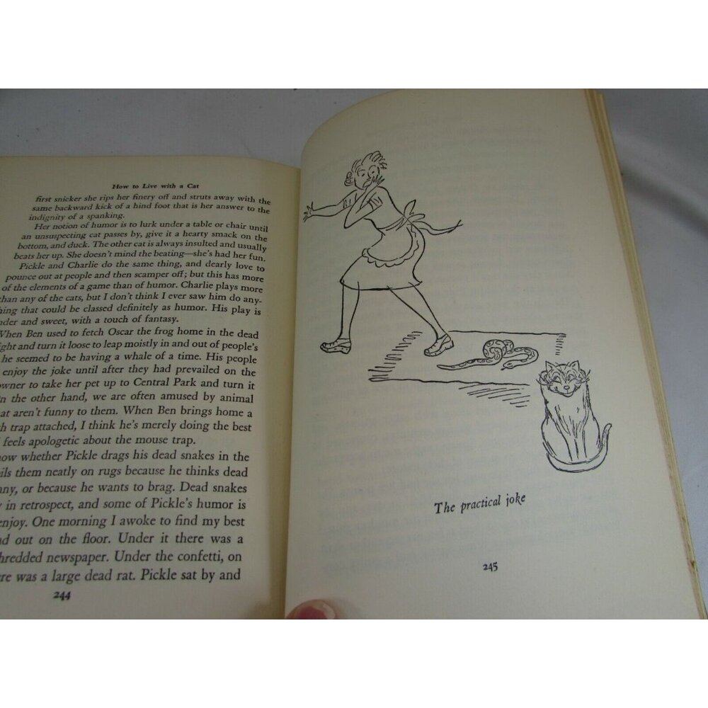 Vintage How to Live with a Cat Margaret Cooper Gay Hardcover Book 52230 - Picture 8 of 12